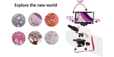 1產品概述英文.png 1產品概述英文.png